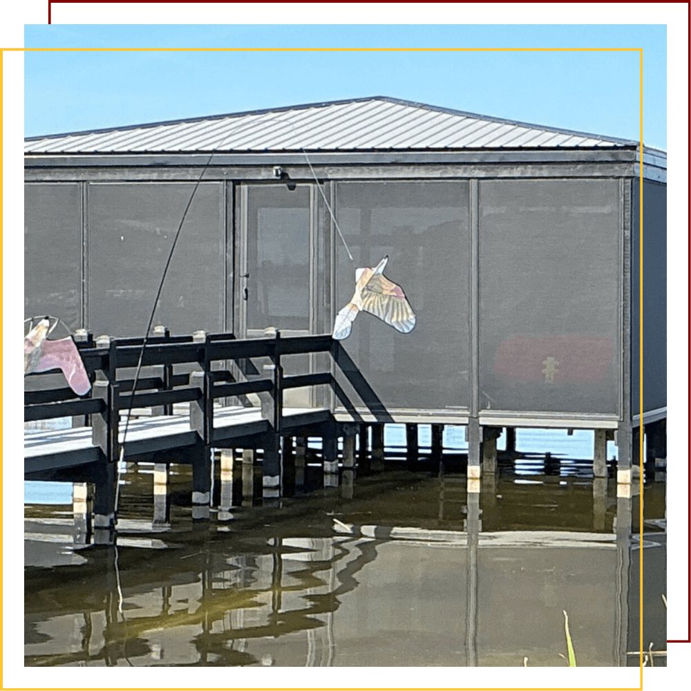 hurricane screens on doc